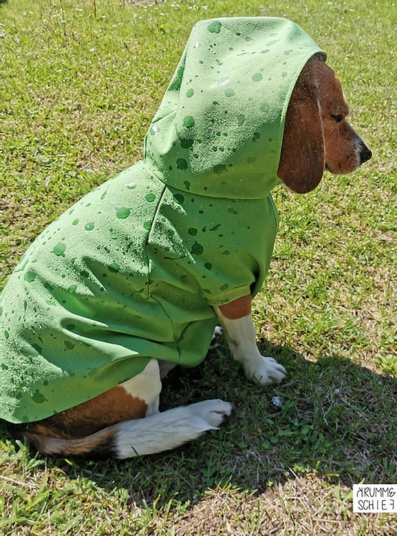 E-Book Joudii Hundehoodie Charly, duits