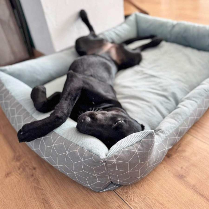 E-book Maker Mauz Hundebett Alma, Duits