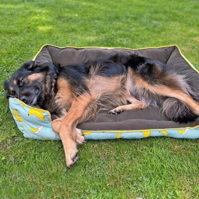 E-book Maker Mauz Hundebett Alma, Duits