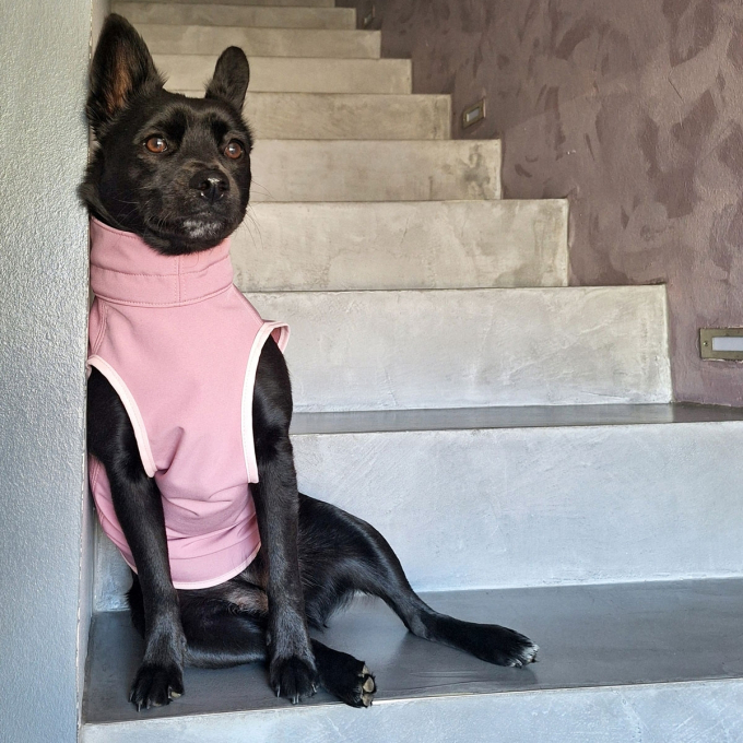 E-book Maker Mauz Hundejacke Alma, Duits