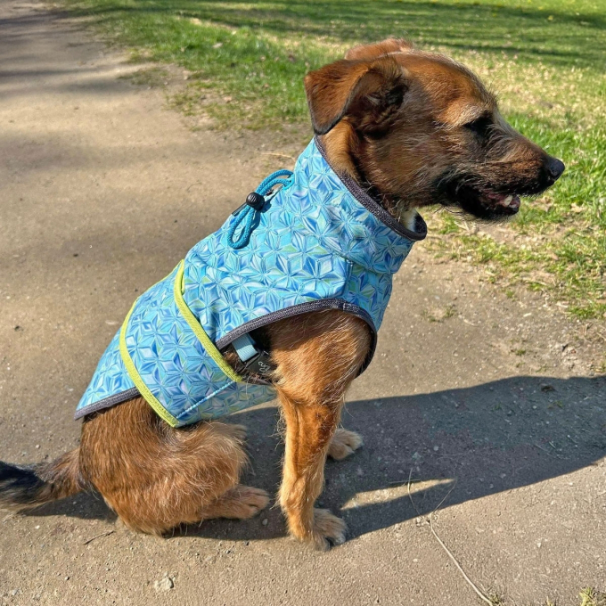 E-book Maker Mauz Hundejacke Alma, Duits