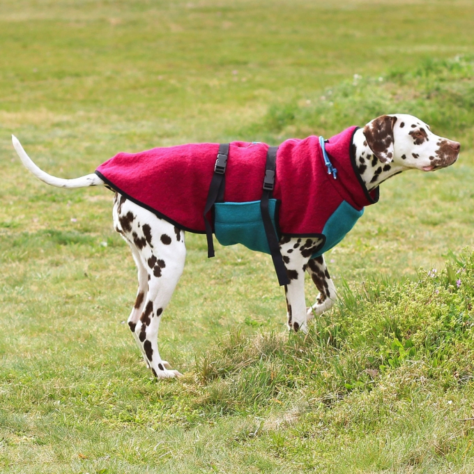 E-book Maker Mauz Hundejacke Alma, Duits