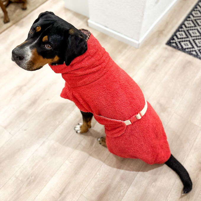 E-Book The DogWorkShop Hundebademantel Towelie