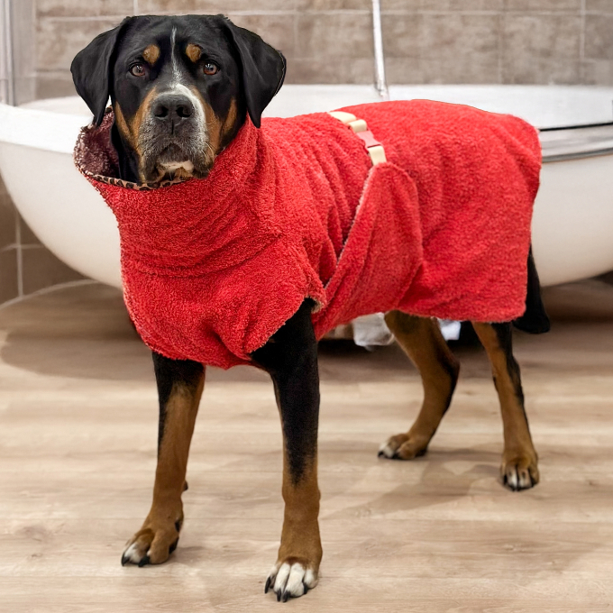 E-Book The DogWorkShop Hundebademantel Towelie