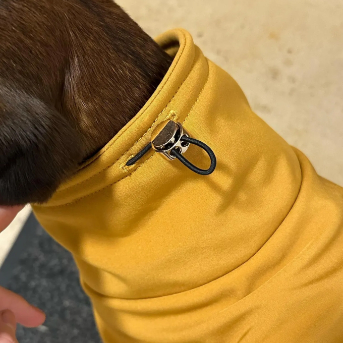 E-book The DogWorkShop Hundemantel Rainy, Duits