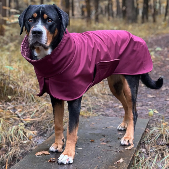 E-book The DogWorkShop Hundemantel Rainy, Duits