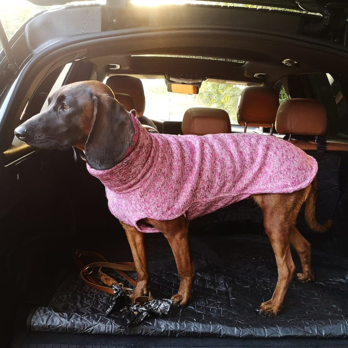 E-book The DogWorkShop Hundepullover Cozy, Duits