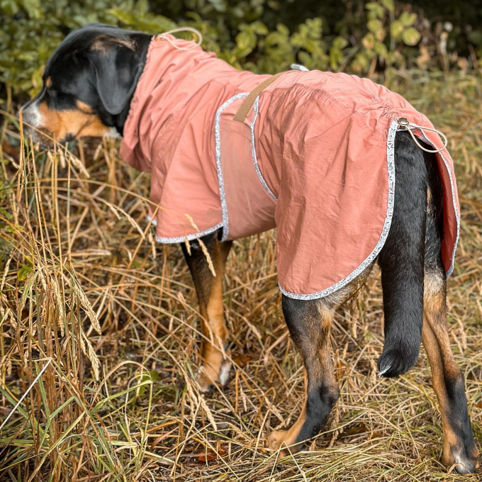E-Book The DogWorkShop Hunderegenmantel Drizzly
