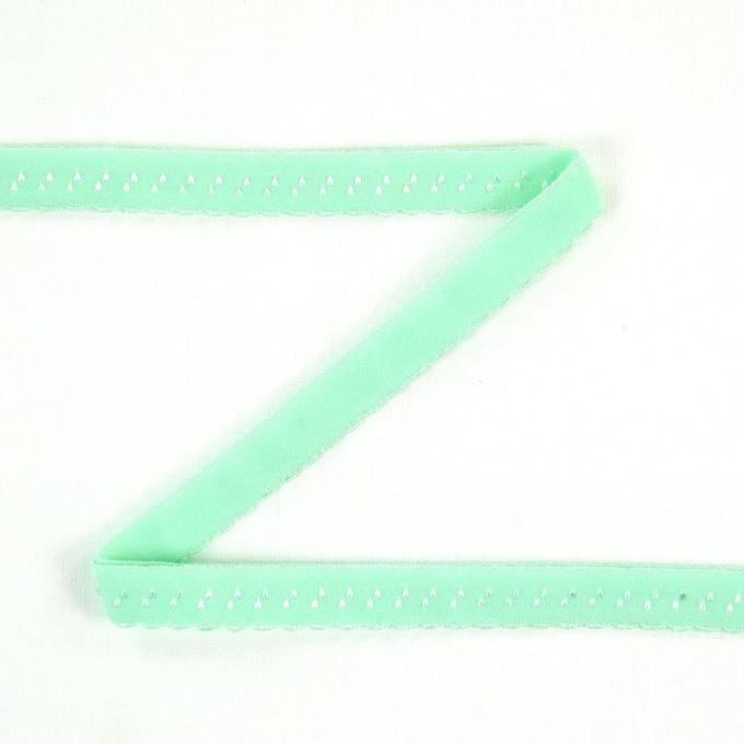 Elastisches Spitzen Einfassband mit Stickerei, mintgrün 12 mm
