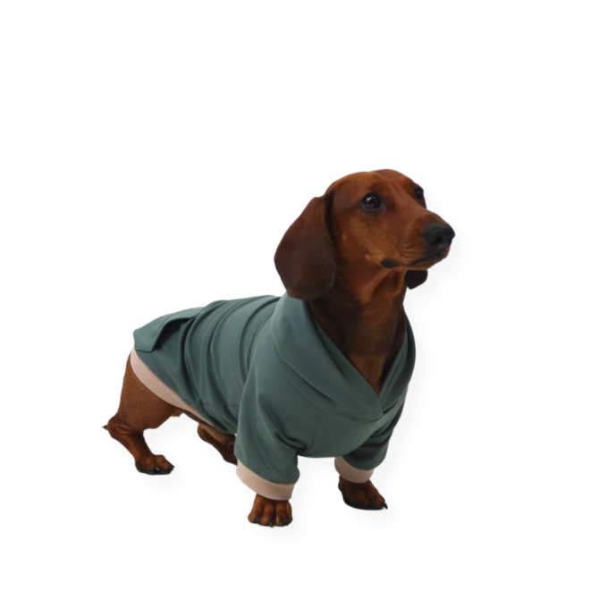 Paper pattern Fadenkäfer Dog Hoodie, German