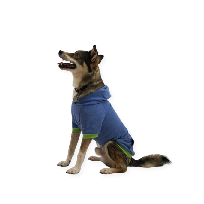 Paper pattern Fadenkäfer Dog Hoodie, German