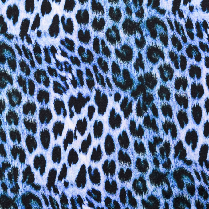 French terry roughened Animal Print, blue