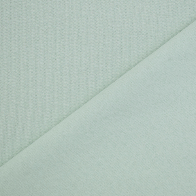 French terry roughened, mint green