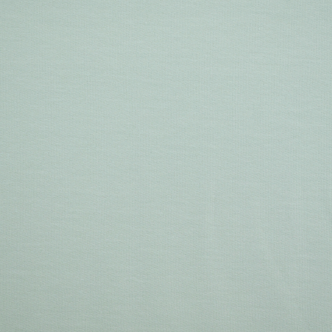 French terry roughened, mint green