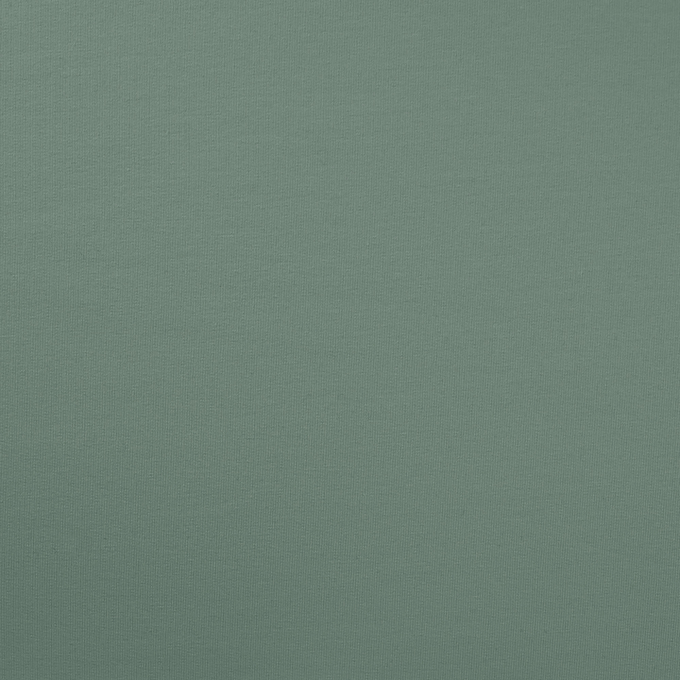 Tissu french terry, menthe pâle