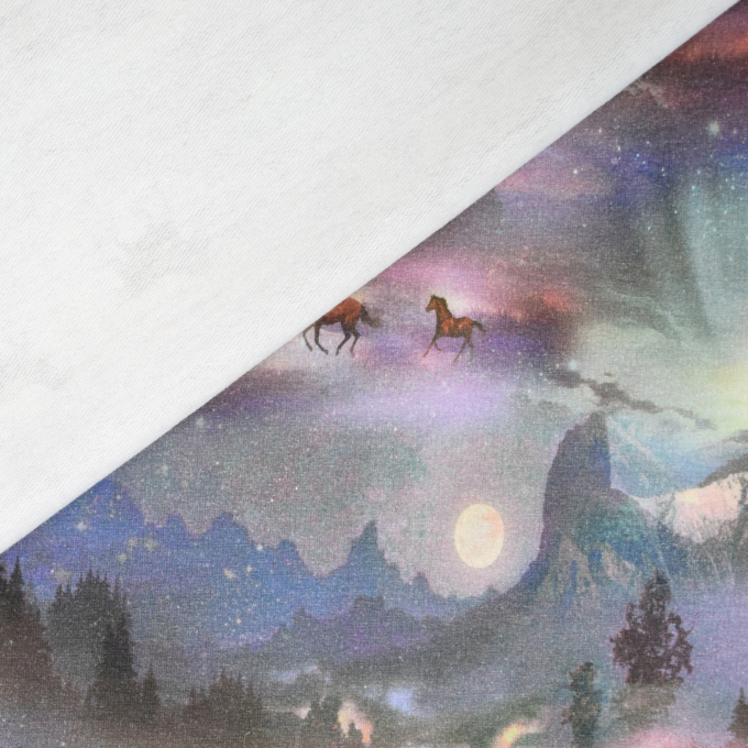 French Terry Mystical Horses, multicolor