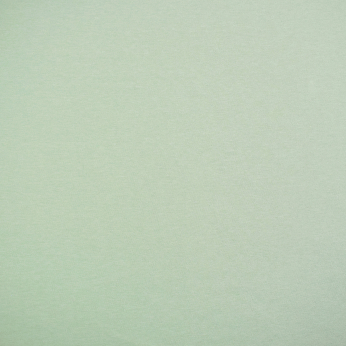 French terry Pastel, light mint