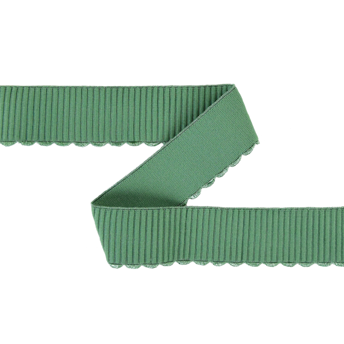 Elastiek with embroidery border 38 mm, valegroen