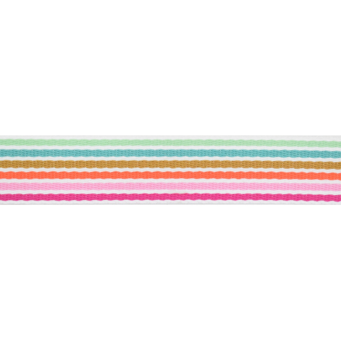Tassenband Rainbowstripes 38 mm, multicolor