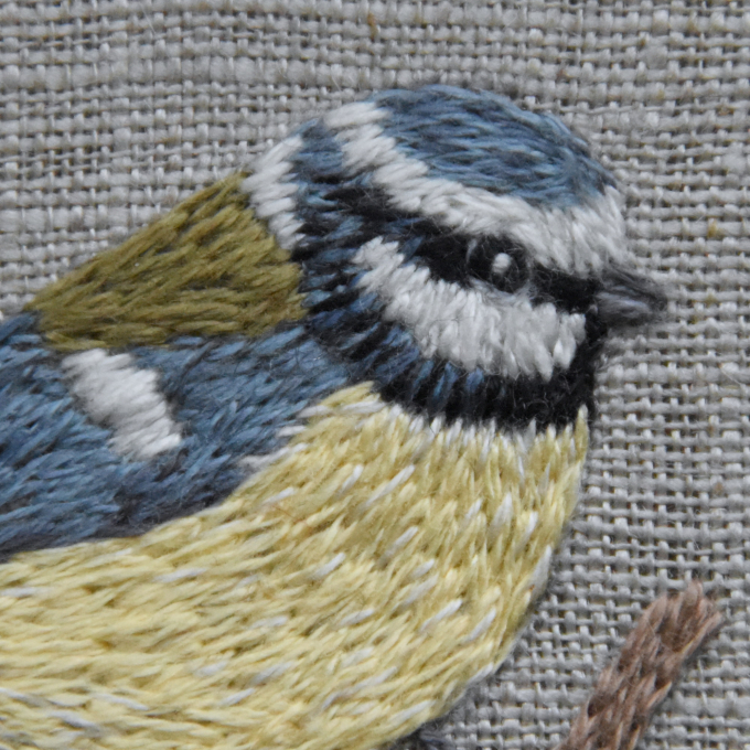 Modèle broderie à la main pdf Mésange bleue & mésange charbonnière Fabelwald