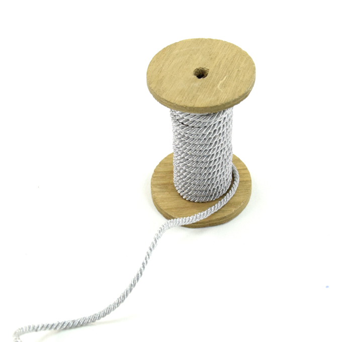 Cordon de serrage Lurex 4mm/ cordon sweat, argent