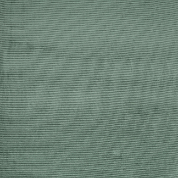 Tissu nicki jersey velours côtelé, vert pâle