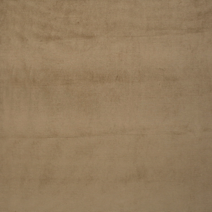 Tissu nicki jersey velours côtelé, beige foncé