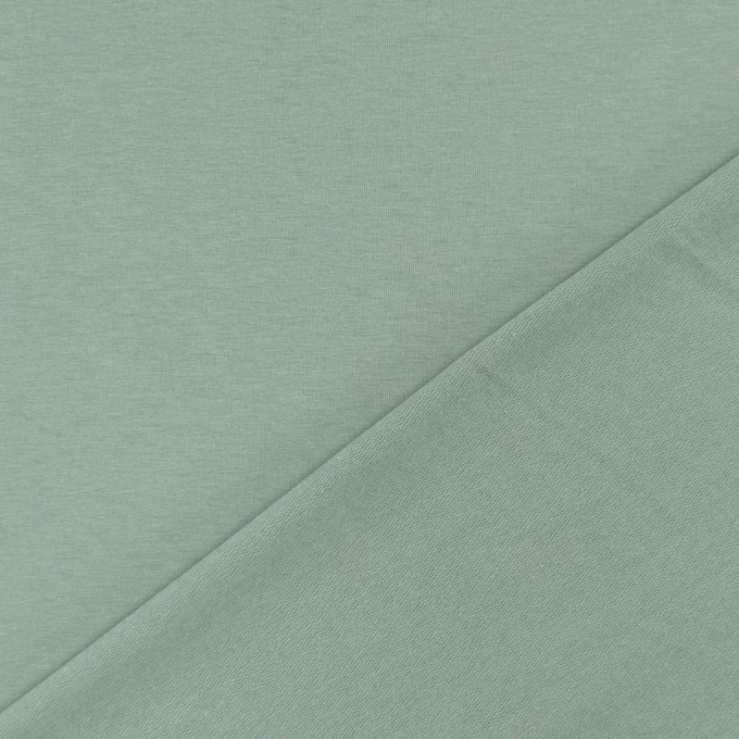 Organic French Terry, pale green