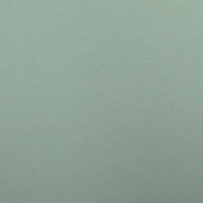 Organic French Terry, pale green