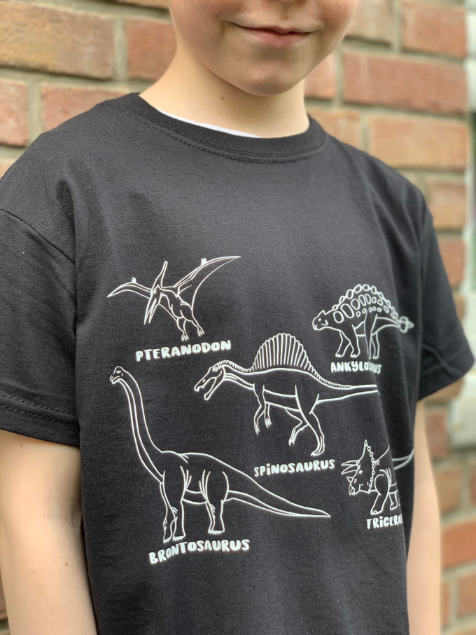 Fichier dessin flocage Dinosaures MiToSa-Creativ