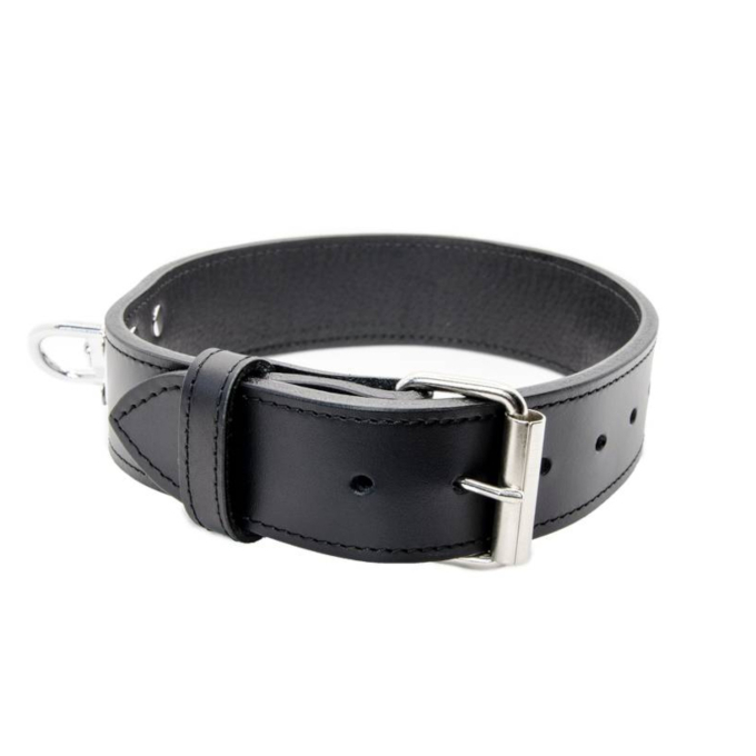 Metalen gesp, 31mm, zilverkleurig
