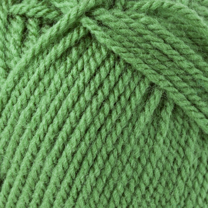 Schachenmayr Wol Bravo uni 50 g fern