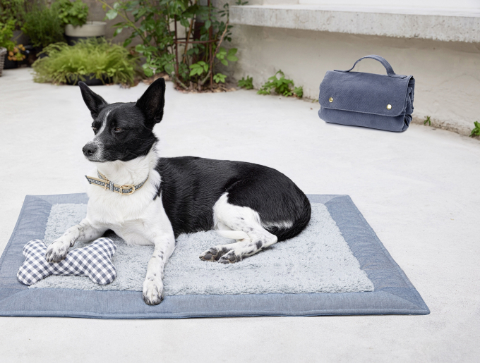 Patron Burda 5702 accessoires pour chien, version papier, en français