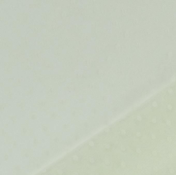 Tissu tulle souple à pois Dots, blanc vanille