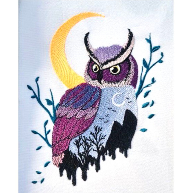 Stickdatei Stickzebra Eule mit Mond, duits