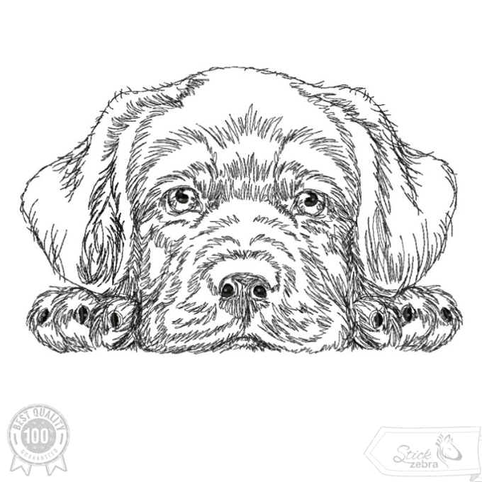 Borduurbestand Stickzebra hond labrador, Duits