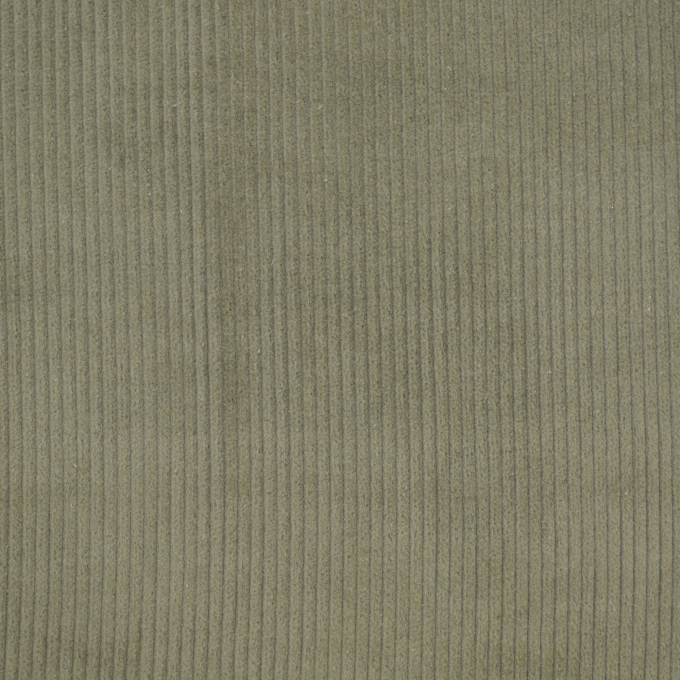 Tissu velours côtelé stretch Susi, kaki