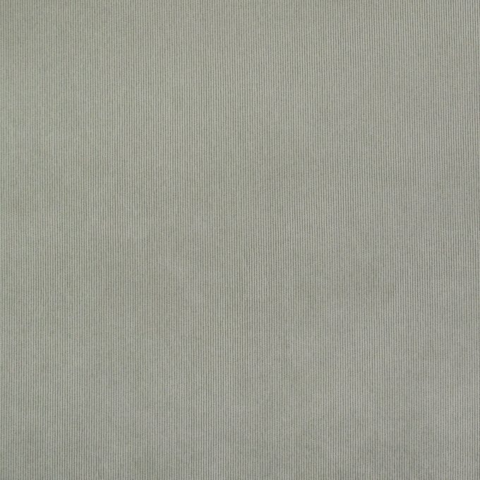 Tissu velours côtelé milleraies stretch Poly, vert olive clair