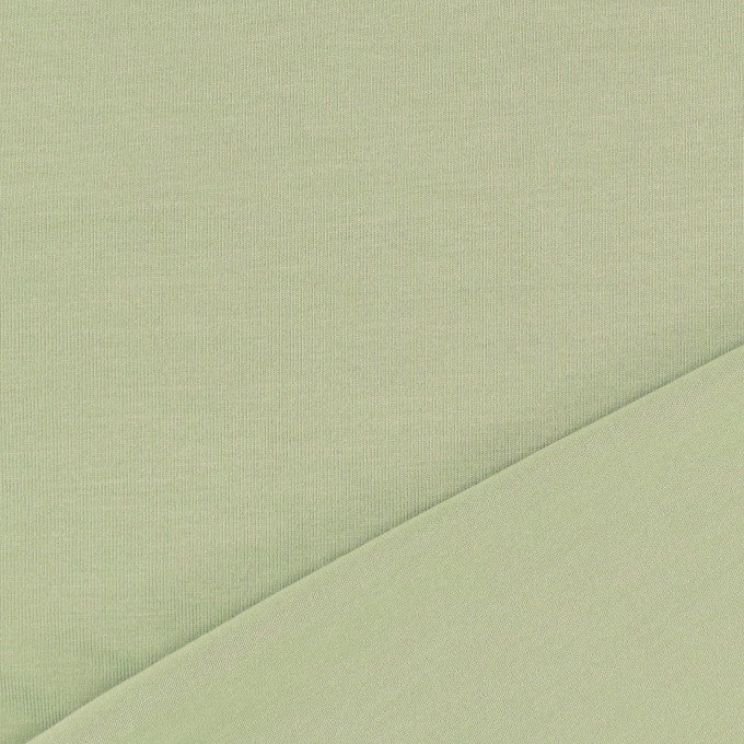 Tencel Modaljersey effen, vaalgroen