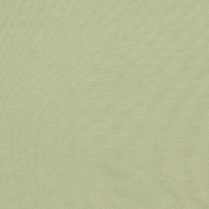 Tencel Modaljersey effen, vaalgroen