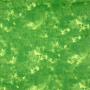Baumwoll-Cretonne Batikoptik, hellgrün