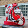 Katoenen tassenband uni rood 38 mm