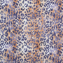 Tissu double gaze de coton Léopard Leo Spots, marron