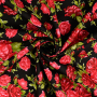 Tissu coton popeline Lovely Rose, noir - rouge