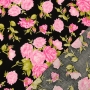 Tissu coton popeline Lovely Rose, noir