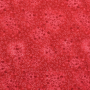 Tissu coton popeline fleurs de tilleul, rouge