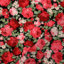 Tissu coton popeline Lovely Dream, noir - rouge