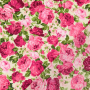 Tissu coton popeline Lovely Dream, blanc cassé – rose fuchsia