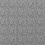 Tissu jersey de coton Léopard Baby Leo, blanc cassé