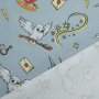 Tissu jersey coton Harry Potter courriers des hiboux, gris clair